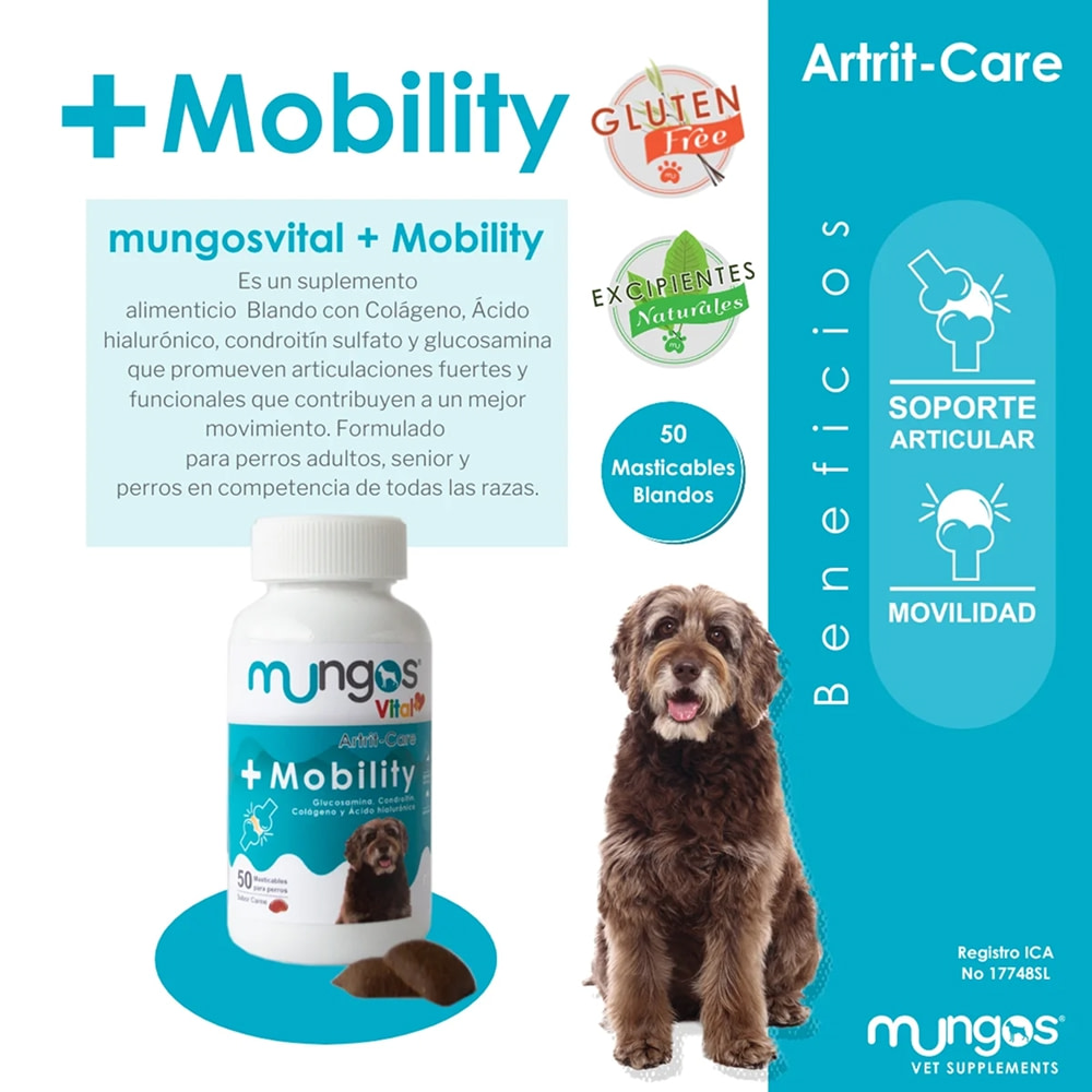 suplemento articular perros mobility
