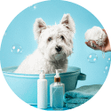 Baños para perro