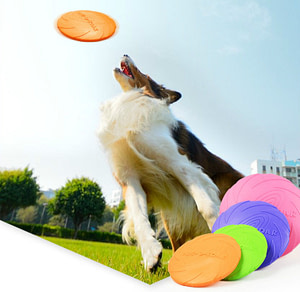 Frisby de Goma Resistente