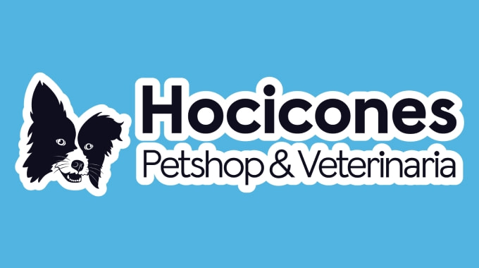 Hocicones