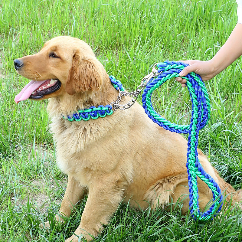 Collar Tipo Ahogo con Traílla Trenzada Talla L