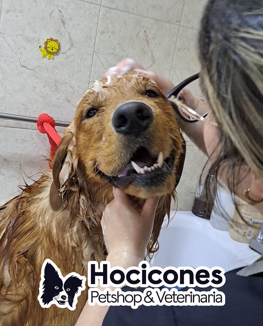 baño de mascotas cerca de bogotá