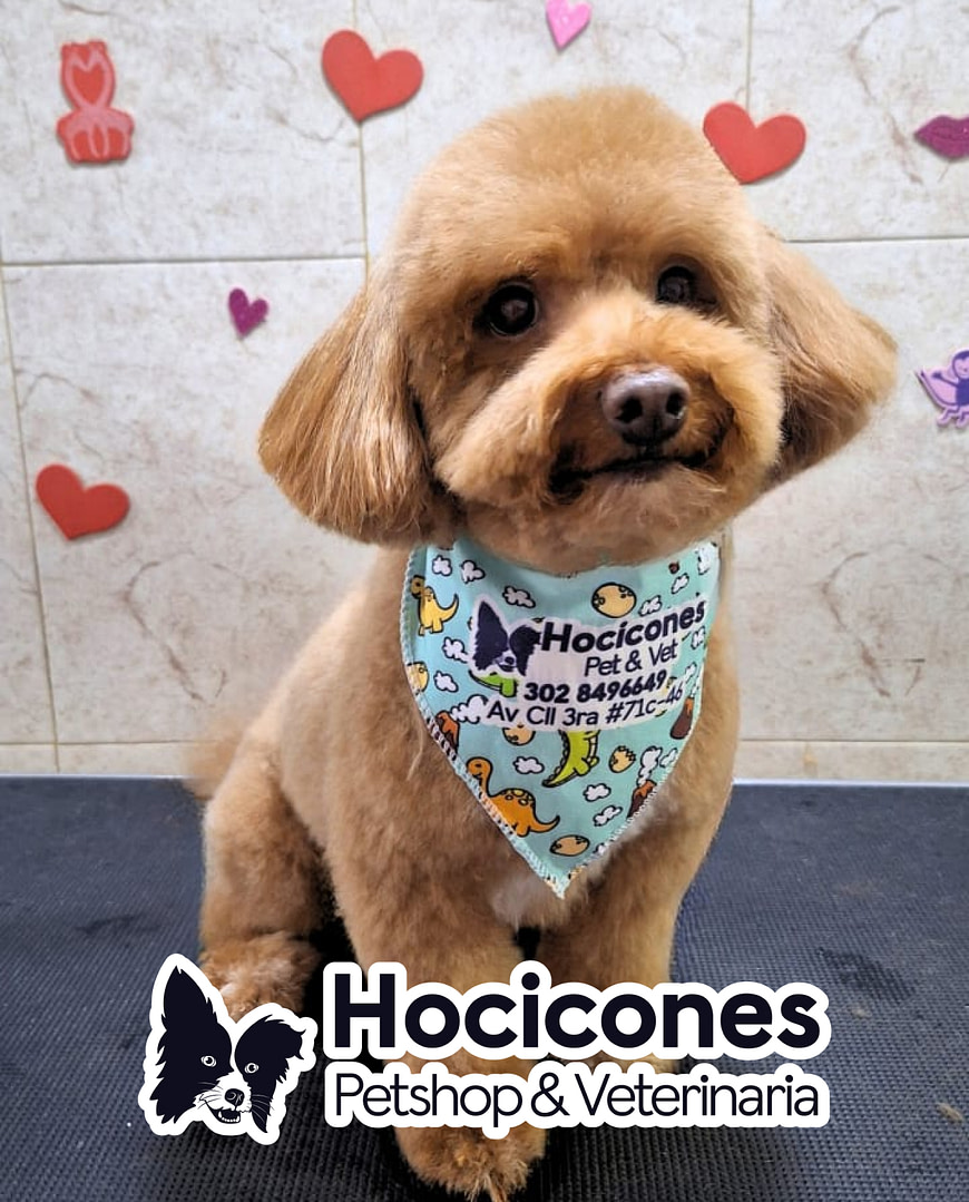 baño de mascotas en las americas bogotá
